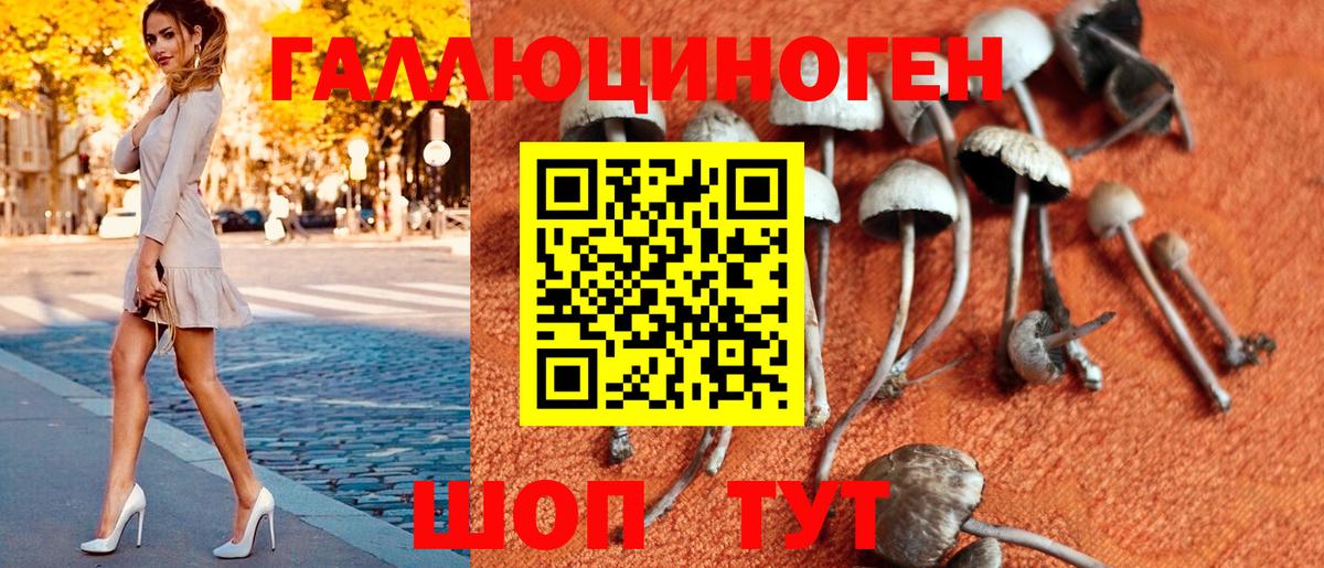 Псилоцибиновые грибы Psilocybe  Вход с VPN  Сертолово  Псилоцибиновые грибы мицелий 