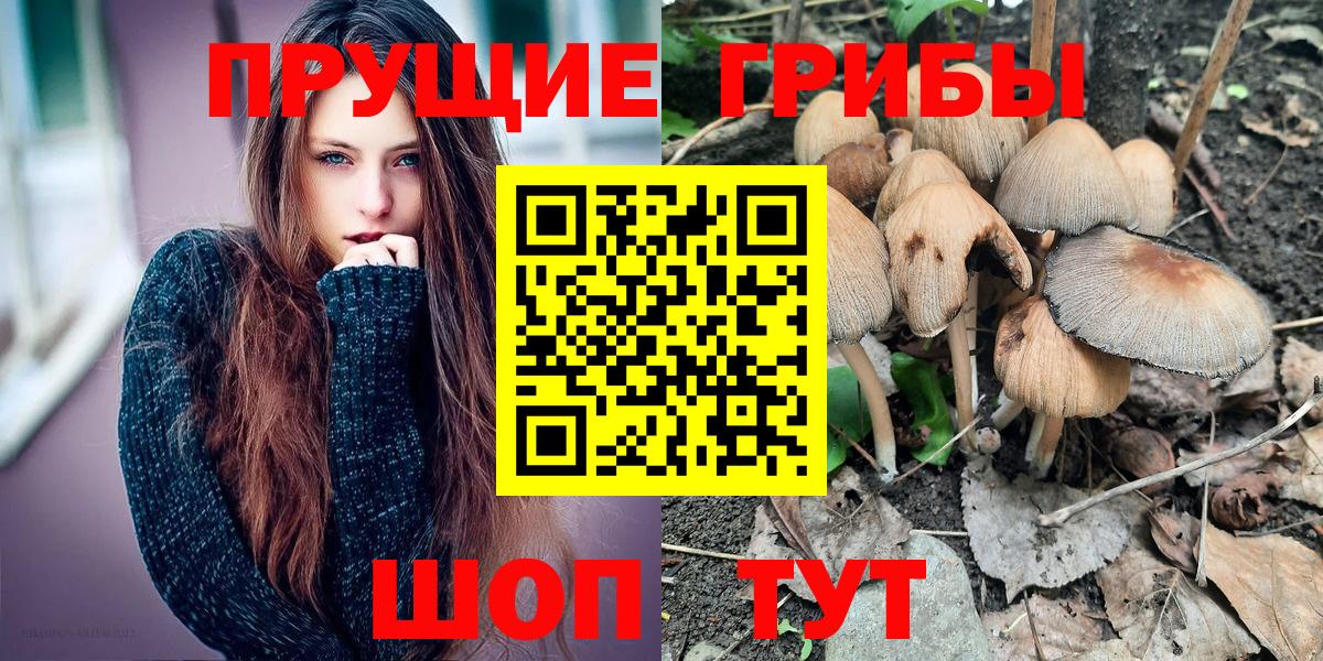 Галлюциногенные грибы Cubensis Сертолово